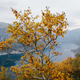 Image for article titled Beyond Trolltunga: Exploring Wild Norway